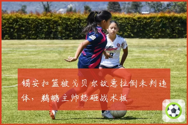 锡安扣篮被戈贝尔故意拉倒未判违体，鹈鹕主帅怒砸战术板