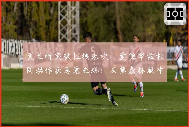 莫兰特突破拉拽未吹，爱德华兹相同动作获恶意犯规，灰熊森林狼冲击罚球差异