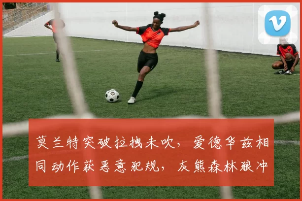 莫兰特突破拉拽未吹，爱德华兹相同动作获恶意犯规，灰熊森林狼冲击罚球差异