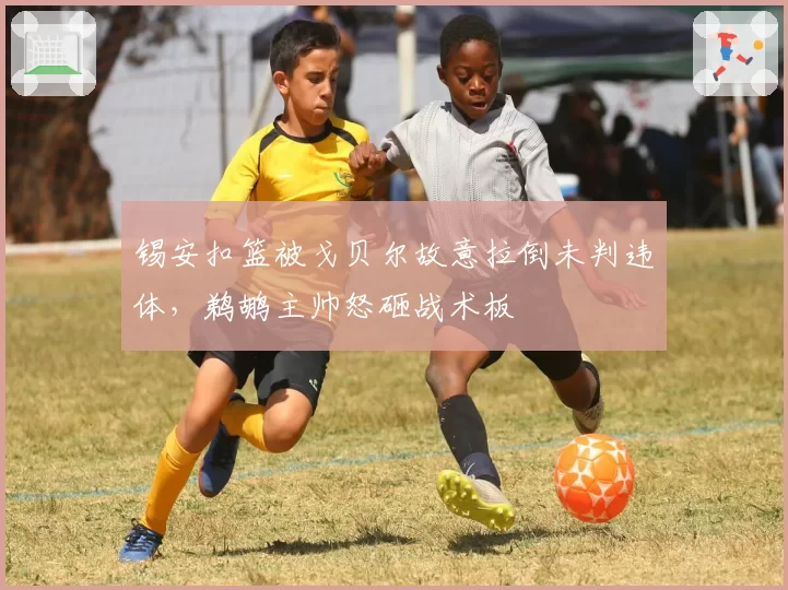 锡安扣篮被戈贝尔故意拉倒未判违体，鹈鹕主帅怒砸战术板